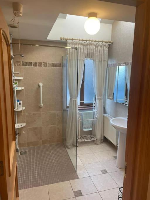 Borodino Studio Apartment Enniscorthy Exteriör bild