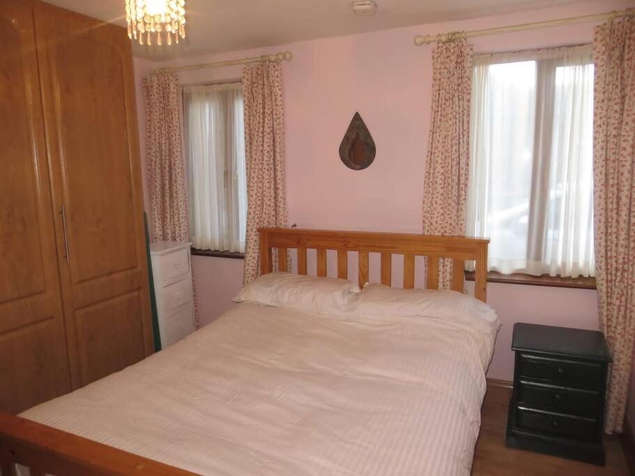 Borodino Studio Apartment Enniscorthy Exteriör bild